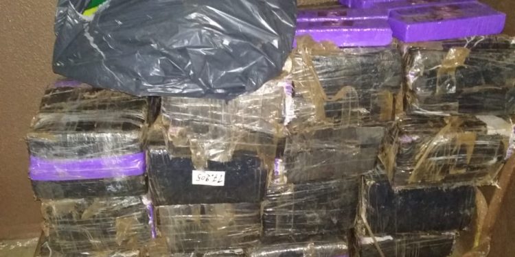 Mais de 200 kg de maconha é apreendida em casa no Três Bandeiras em Foz