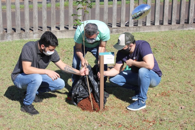 Plantio de Ipê homenageia a “telebonita” Jussara Garcia
