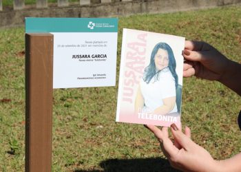 Plantio de Ipê homenageia a “telebonita” Jussara Garcia