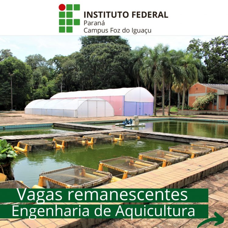 IFPR realiza Sorteio Público para cursos superiores com início imediato