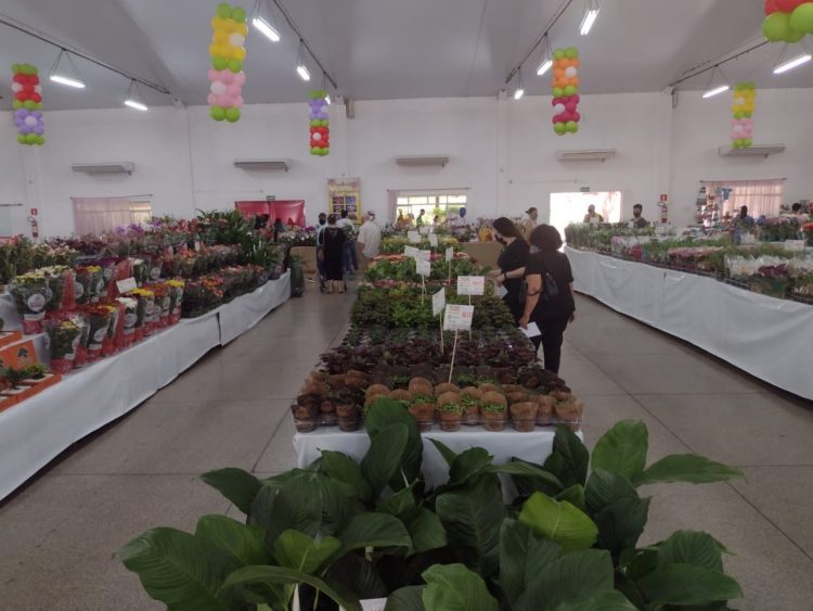 Começa a 21° Ecoflores em Foz do Iguaçu