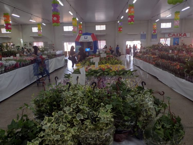 Começa a 21° Ecoflores em Foz do Iguaçu