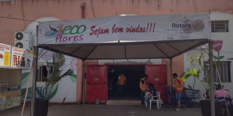 Ecoflores segue até domingo com plantas a partir de R$ 5