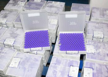 Paraná receberá mais 303 mil doses de vacina contra a Covid-19
