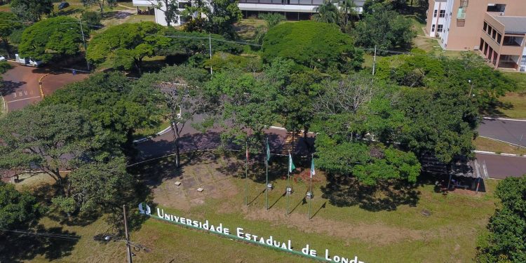 UEL abre processo seletivo para contratação de professores temporários