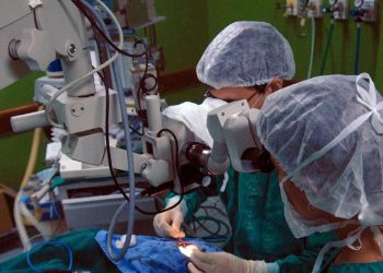 Campanha alerta que família tem palavra final na doação de órgãos