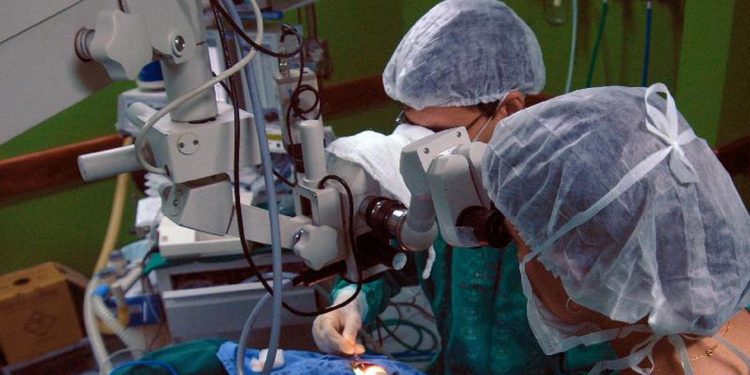 Campanha alerta que família tem palavra final na doação de órgãos