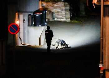 Homem mata várias pessoas na Noruega em ataque com arco e flecha