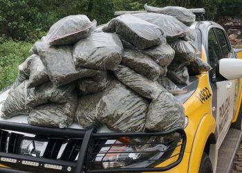 PM encontra sacos de “capulho” na mata da Favela do Monsenhor