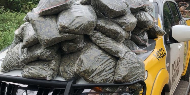 PM encontra sacos de “capulho” na mata da Favela do Monsenhor