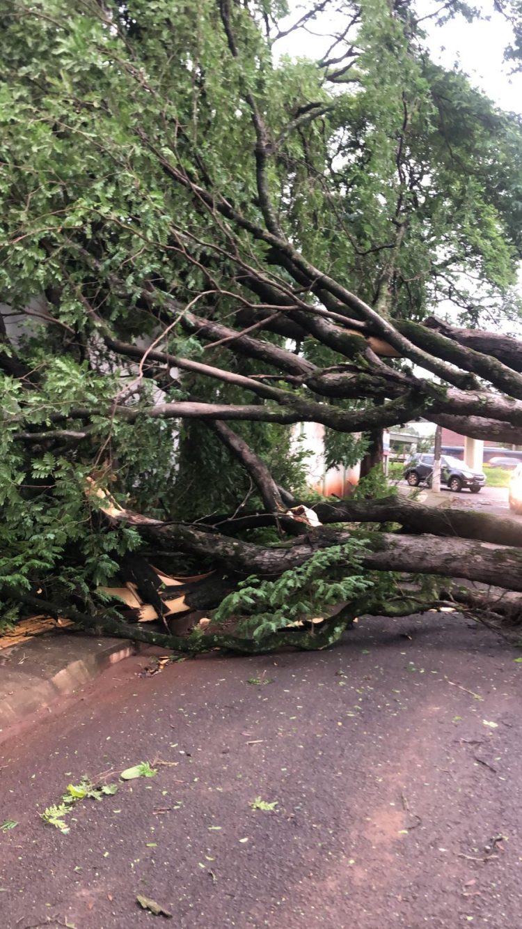 Temporal deixa 120 mil pessoas sem luz em Foz do Iguaçu e STI