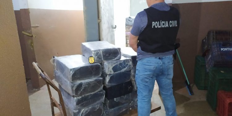 300 quilos de maconha são apreendidos pela Polícia Civil na “Baixada do Leão”