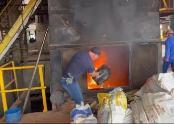 Delegacia de Santa Terezinha de Itaipu incinera mais de uma tonelada de maconha