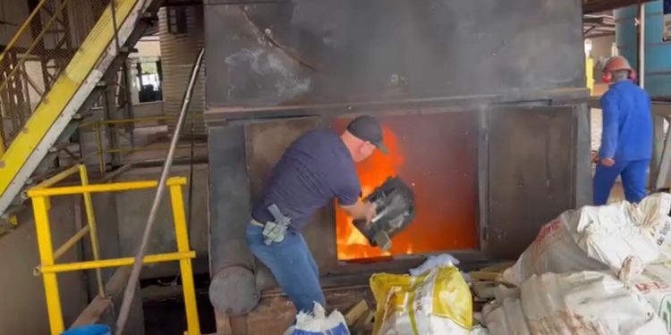 Delegacia de Santa Terezinha de Itaipu incinera mais de uma tonelada de maconha