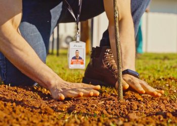 Municípios lindeiros ao Lago de Itaipu iniciam plantios para celebrar os 24 milhões de árvores plantadas pela empresa