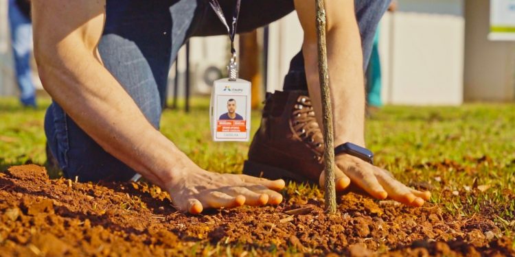 Municípios lindeiros ao Lago de Itaipu iniciam plantios para celebrar os 24 milhões de árvores plantadas pela empresa