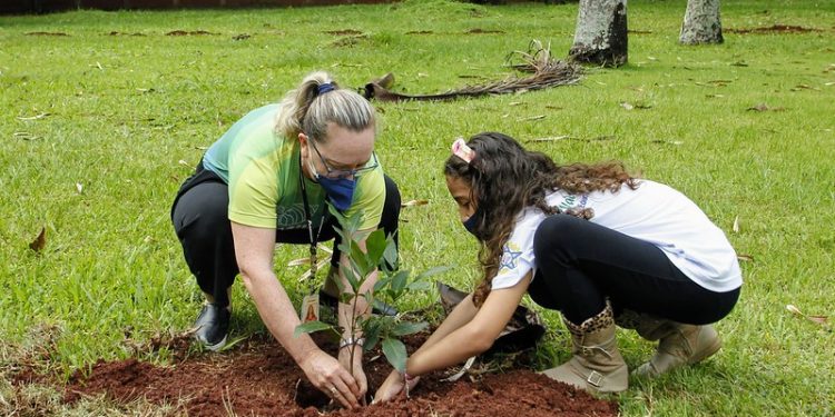 Alunos da Escola João da Costa Viana plantam árvores na Prainha de Três Lagoas