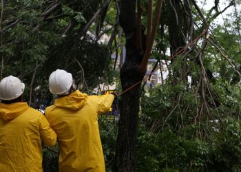 Equipes da Defesa Civil trabalham para resolver estragos causados pelo temporal em Foz do Iguaçu