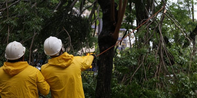 Equipes da Defesa Civil trabalham para resolver estragos causados pelo temporal em Foz do Iguaçu