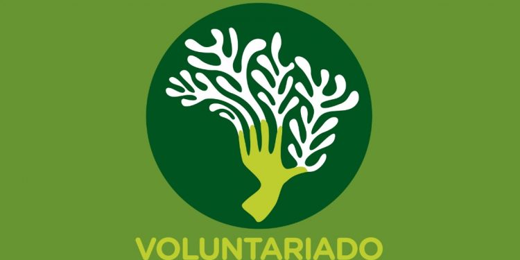 Seja voluntário no Parque Nacional do Iguaçu