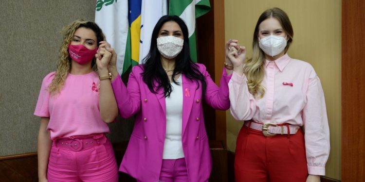 Câmara apoia campanha Outubro Rosa em prevenção ao câncer de mama