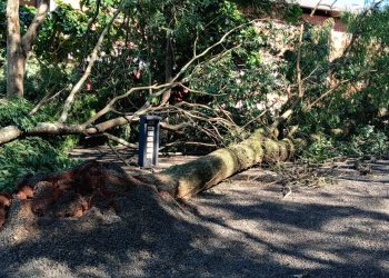 Temporal do fim de semana afeta Santa Terezinha de Itaipu e Itaipulândia
