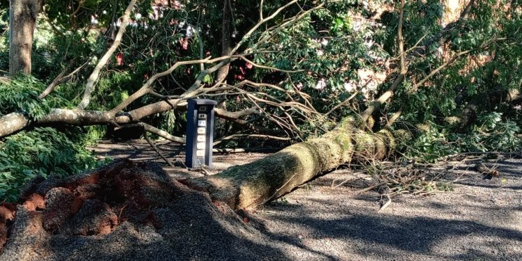 Temporal do fim de semana afeta Santa Terezinha de Itaipu e Itaipulândia