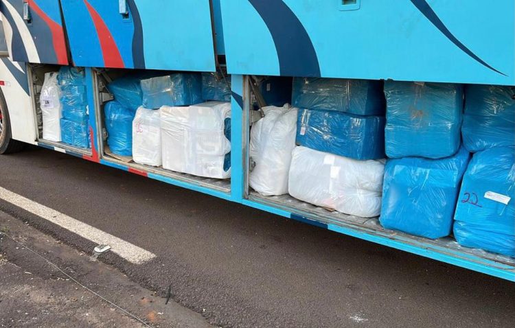 140 quilos de camarão são apreendidos pela Receita Federal e BPFron