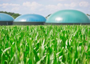 Biogás pode gerar energia para 19 mil residências em Rondônia