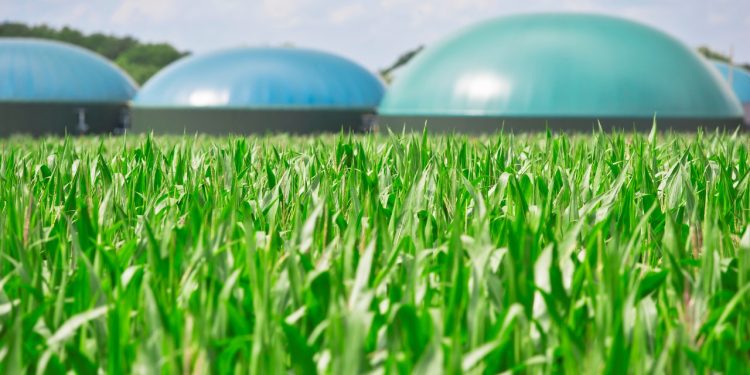 Biogás pode gerar energia para 19 mil residências em Rondônia