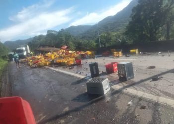 Paraná: caminhão de cerveja bate contra outro carregado com carne