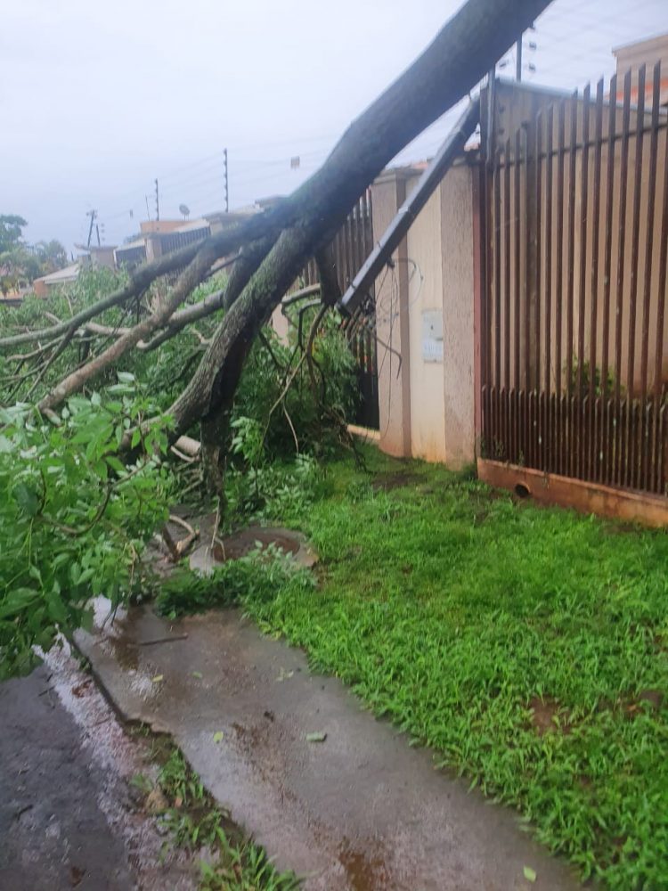 Chuva derruba árvores e faz Rio Boicy transbordar em Foz do Iguaçu