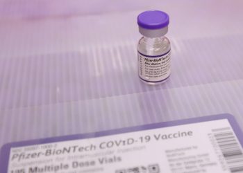 Com novo lote da Pfizer, Paraná vai acelerar vacinação de jovens de 12 a 17 anos