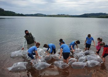 Rio Iguaçu recebe mais 310 mil peixes nativos em ação do Estado