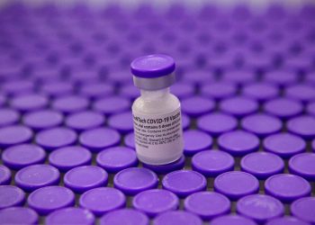 Estado recebe mais 154,4 mil vacinas contra a Covid-19 nesta segunda-feira