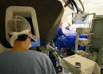 Transplante de rim de um animal para ser humano é realizado pela primeira vez