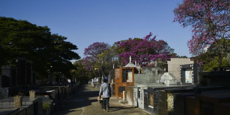 Covid-19 deixou 12 mil órfãos de até 6 anos no país, mostram cartórios