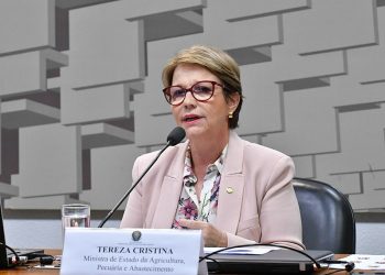 Ministra da Agricultura é confirmada na abertura do IFC 2021