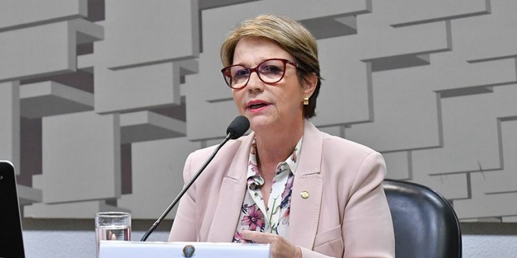 Ministra da Agricultura é confirmada na abertura do IFC 2021
