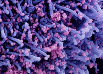 Média móvel de óbitos por covid-19 é a menor desde abril de 2020