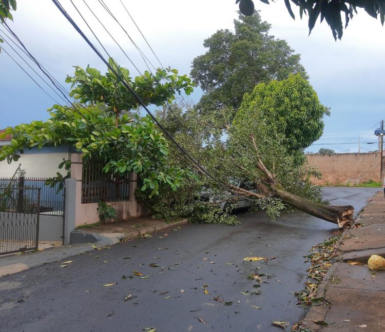 Temporal derruba parte da decoração de natal em Foz; danos não afetam programação