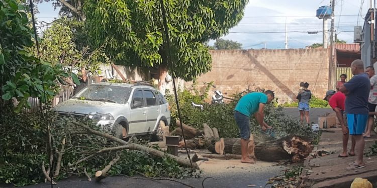 Vento em Foz se aproximou de 100km/h, diz Simepar