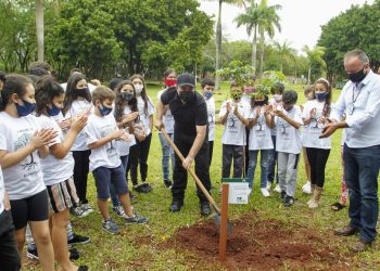Municípios lindeiros finalizam parte da campanha de 24 milhões de árvores plantadas pela Itaipu