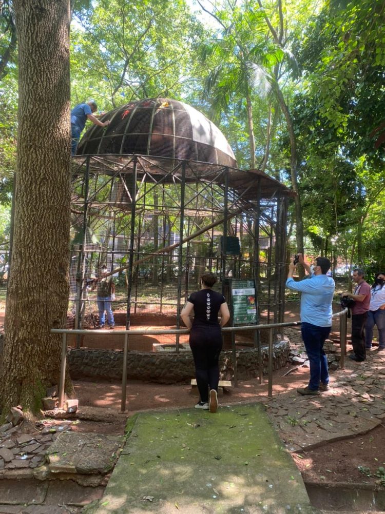 Retirada dos animais do Bosque Guarani