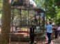 Retirada dos animais do Bosque Guarani