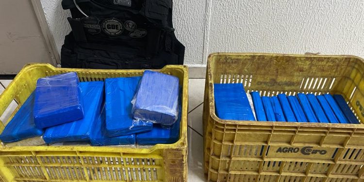 50 quilos de cocaína são apreendidos pela Polícia Civil