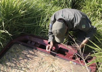 Mutirão de Combate à dengue será neste sábado na região Leste