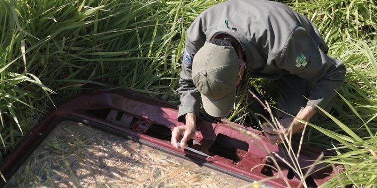 Mutirão de Combate à dengue será neste sábado na região Leste