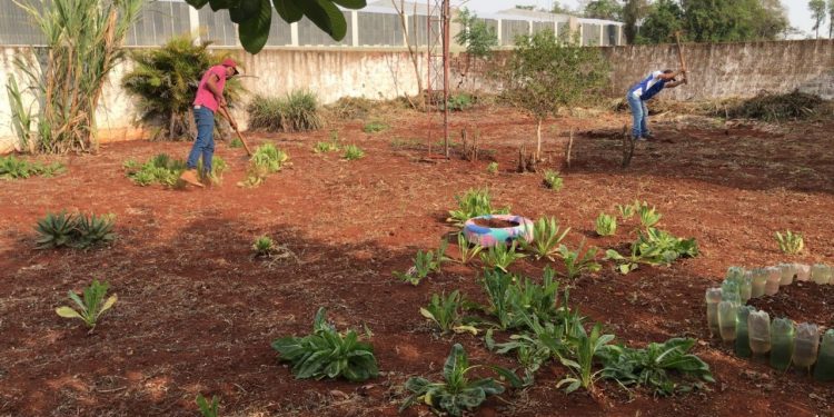 Hortas comunitárias são implantadas em escola e associações de moradores como projeto piloto