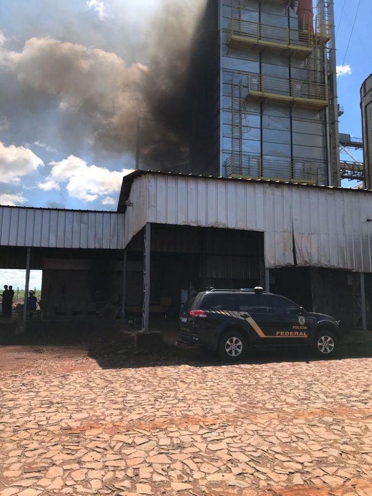 Mais de uma tonelada de drogas apreendidas são incineradas pela Polícia Federal